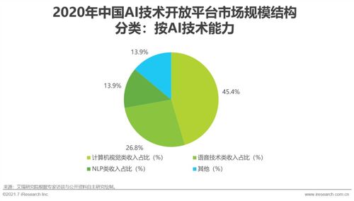 2021年中國人工智能基礎(chǔ)層行業(yè)研究報(bào)告 聚焦人工智能基礎(chǔ)軟件開發(fā)